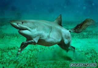 Illustration for article titled Yikes, these animal hybrids are so hilariously terrifying